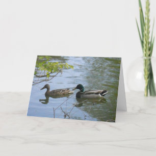 "Hyland May Day Mallards #2" Cartões de agradecime