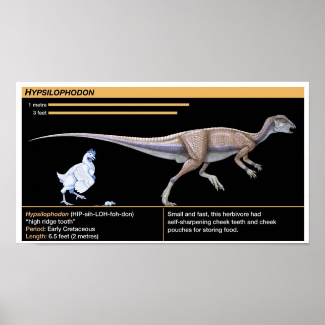 Hypsilophodon - Biology Jurassic Dinosaur Poster (Frente)