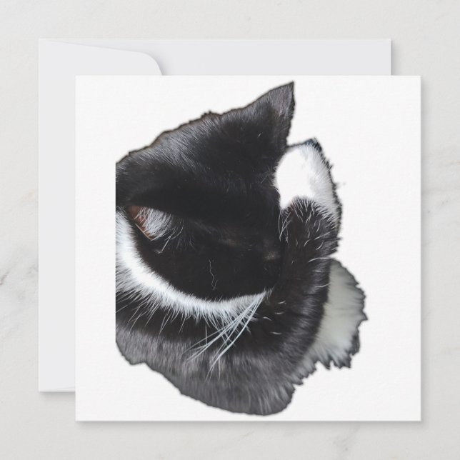 I Can't Even Right Meow (Frente)