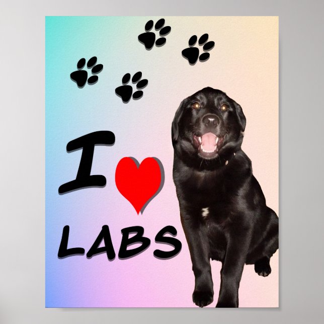 I Love Labs Impressão, Value Poster Paper (Matte) (Frente)
