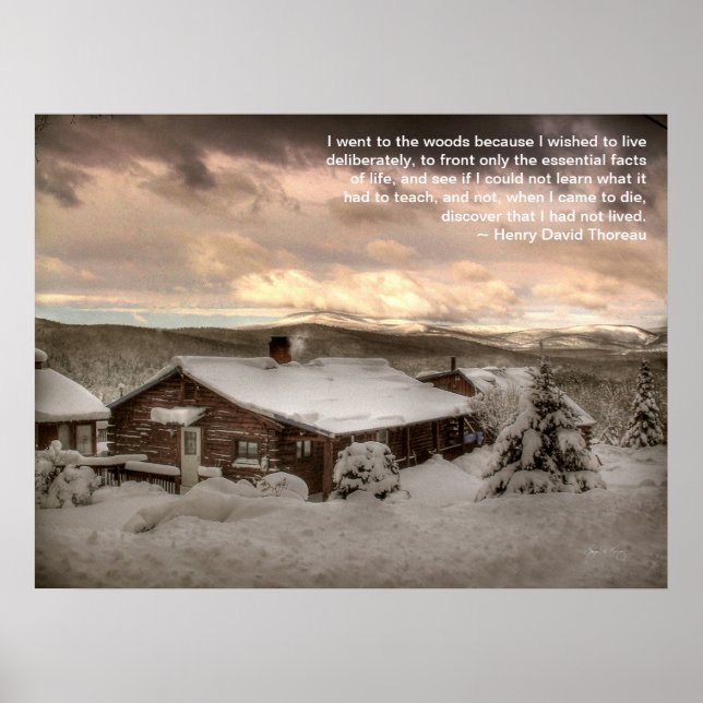 I Went to the Woods Poster (Frente)