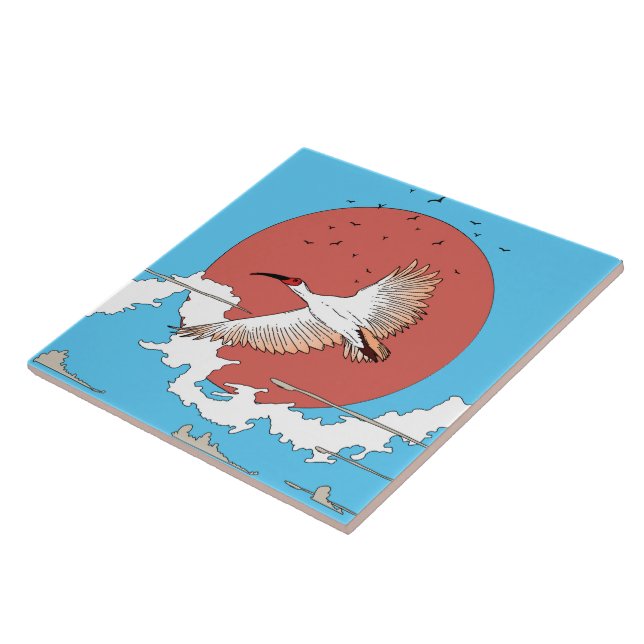 Ibis Detidos em Voo (Lateral)