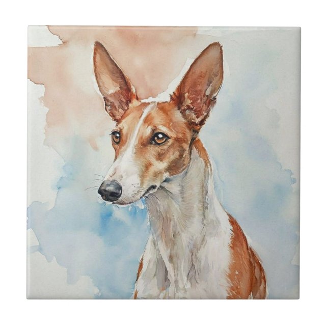 Ibizan Hound Acrylic Photo Tile (Frente)