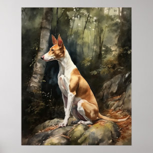 Ibizan Hound Dog Art Impressão