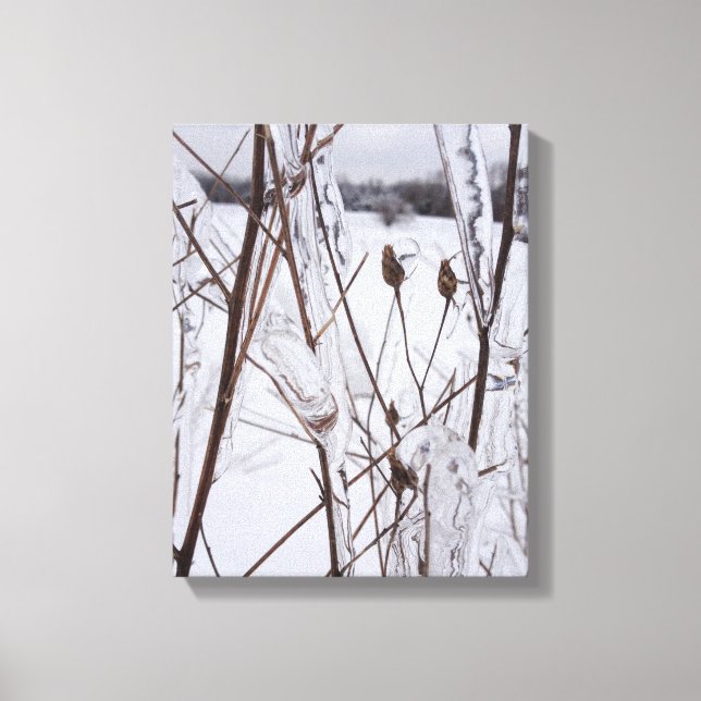 Ice Storm Photo Canvas Art, Michigan (Frente)