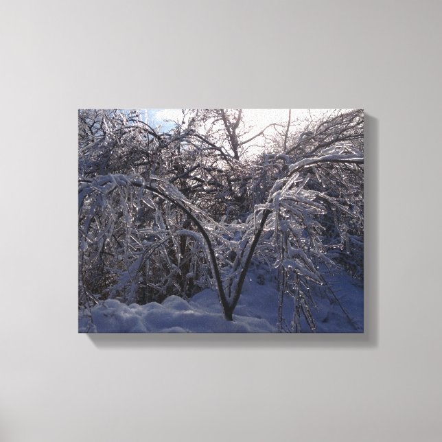Ice Storm Photo Canvas Art, Michigan (Frente)