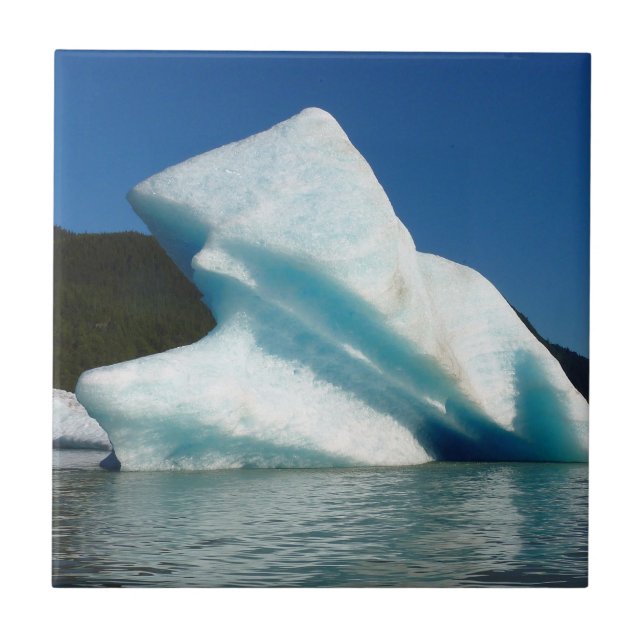 Iceberg no Lago Mendenhall no Alasca (Frente)