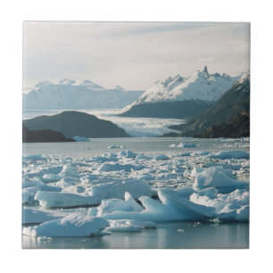 Icebergs Glaciais