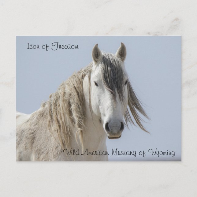 Ícone da liberdade - Cartão postal (Frente)