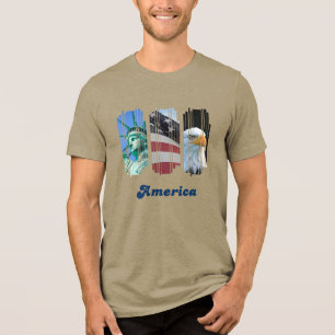 Ícones Americanos Bandeira Águia Estátua