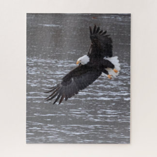 Icy Landing: Bald Eagle Quebra-cabeça