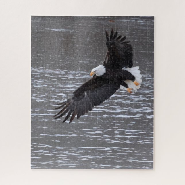 Icy Landing: Bald Eagle Quebra-cabeça (Vertical)