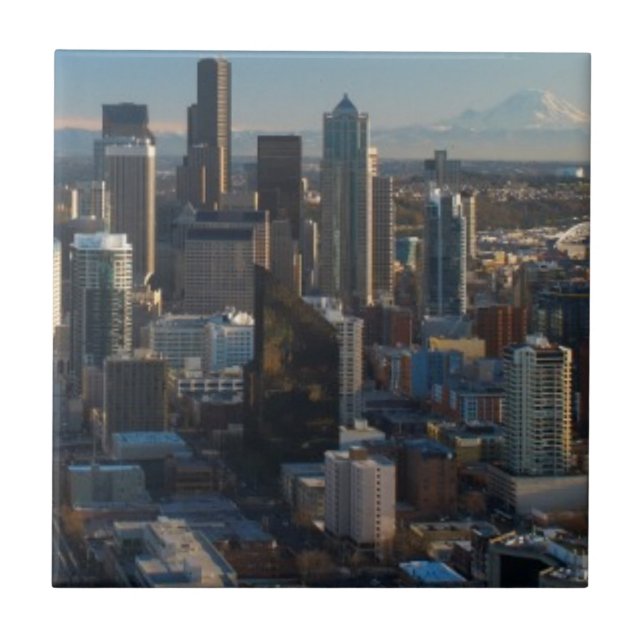 Ideia aérea da skyline da cidade de Seattle (Frente)