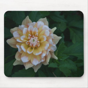 Ideia amarela do presente do mousepad da flor da
