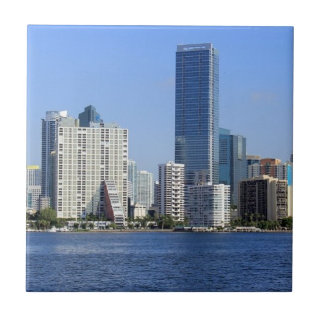 Ideia da skyline de Miami (Frente)