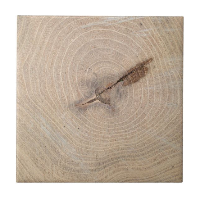 Ideia superior dos anéis anuais do close up (Frente)