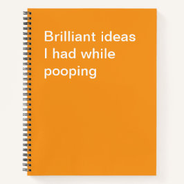 Ideias brilhantes que tive enquanto fazia cocô