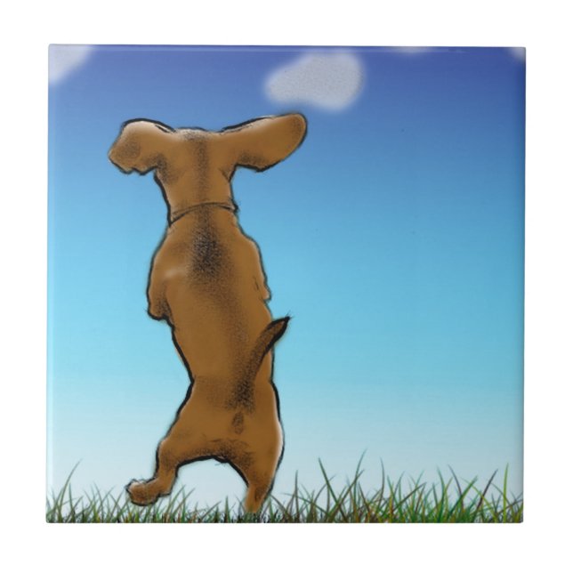 Ignorando Doxie (Frente)