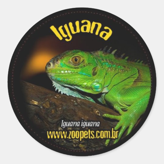 iguana adesivo redondo