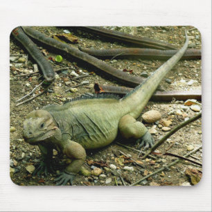 Iguana Mousepad