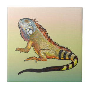 iguana verde