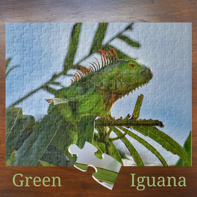Iguana Verde numa Árvore de Palmeira Quebra-Cabeça (Criador carregado)