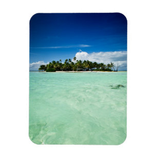 Ilha do Pacífico com o ímã vertical das palmeir