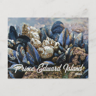 Ilha do Príncipe Eduardo Canadá Cartão Postal Mexi