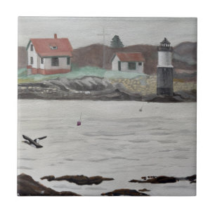 Ilha Ram, Maine