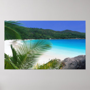 Ilha Time Tropical Paradise Poster