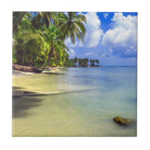 Ilha Tropical de Coconut Palm