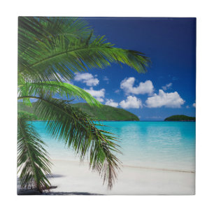 Ilha Tropical de Paraíso Clássico