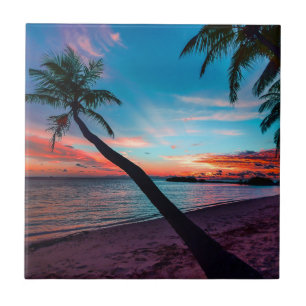Ilha tropical do paraíso do Sandy Beach da