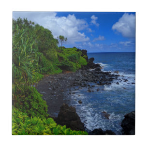 Ilha Tropical Maui Havaiana Beach