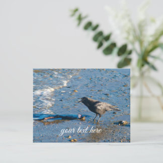 Ilha Whidbey Washington Praia Crow Cartão Postal d