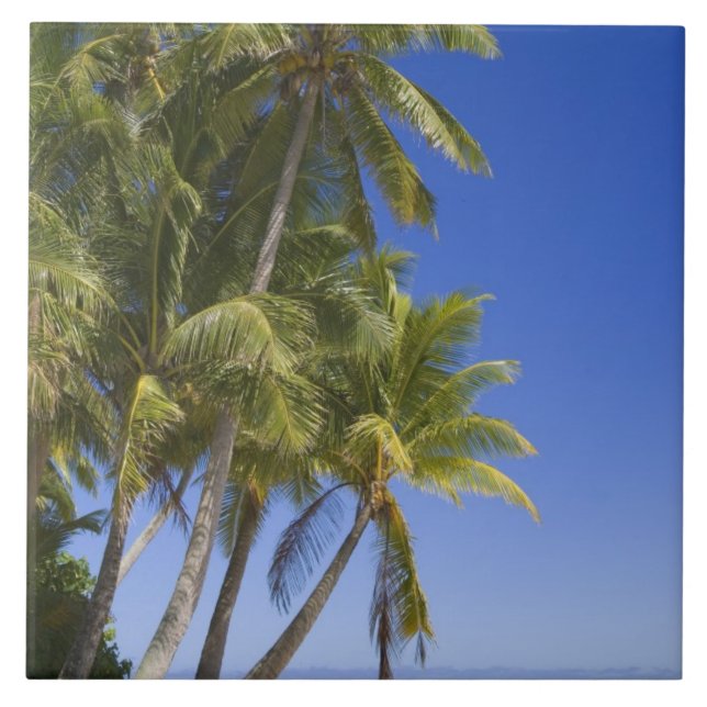 Ilhas Cook com Palm na praia (Frente)