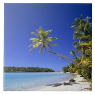 Ilhas Cook com Palm na praia