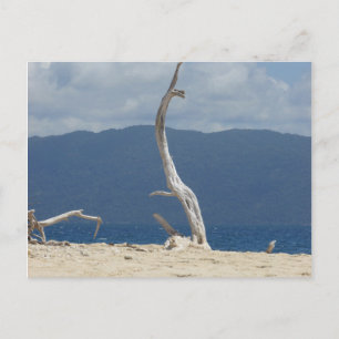 Ilhas Frankland - Cartão postal da Austrália