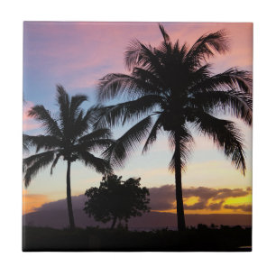 Ilhas Maui Havaianas