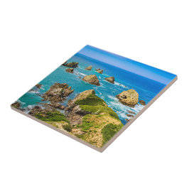 Ilhas Nugget Point, Nova Zelândia