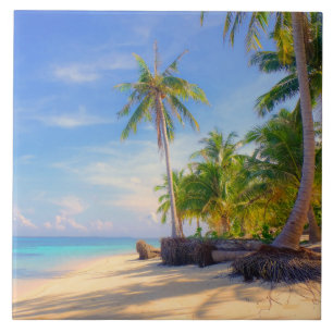 Ilhas Tropicais Filipinas, Pram Palm Paradise