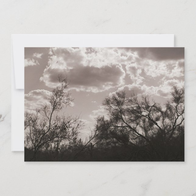 Iluminação traseira do pincel (Deserto AZ) Convite (Frente)