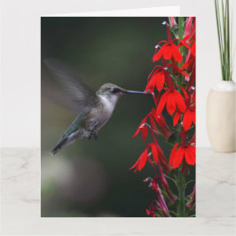 Ilumine alguém dia com este cartão bonito!!