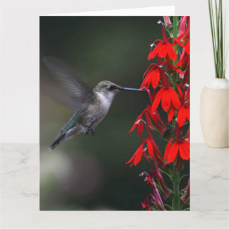 Ilumine alguém dia com este cartão bonito!!