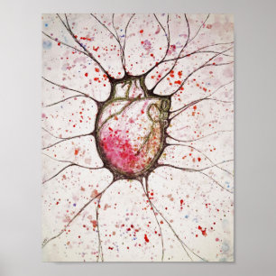 Ilustração anatômica do coração - poster 8.5x