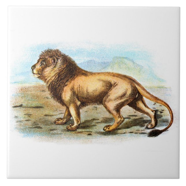 Ilustração Animal Vintage Lion (Frente)