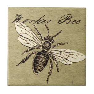 Ilustração Antiga de Abelha Operária em Estilo Ant