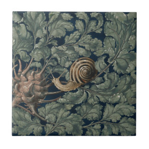 Ilustração Antiga de Caracol Botânico Art Nouveau