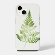 Ilustração Botânica de Fern Verde Minimalista