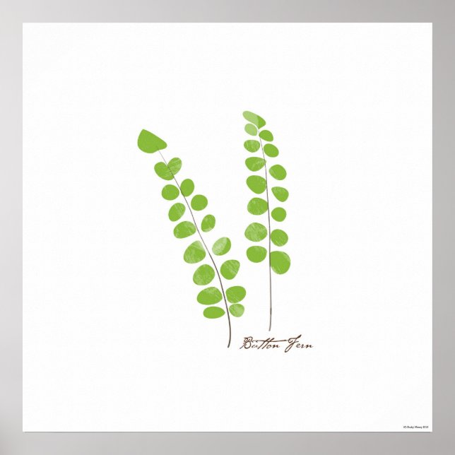 Ilustração Button Fern | Fern Botanical Impressão (Frente)